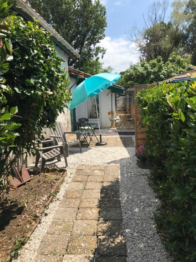 Appartement Entre Ocean Et Montagne 15Bis Avenue De Montbrun Anglet Buitenkant foto